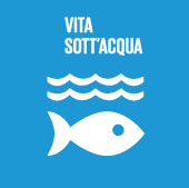 Cooperativa Ringhiera - Vita sott'acqua